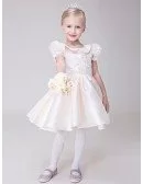 Pale Pink Collared Lace Satin Flower Girl Dress with Short Sleeves