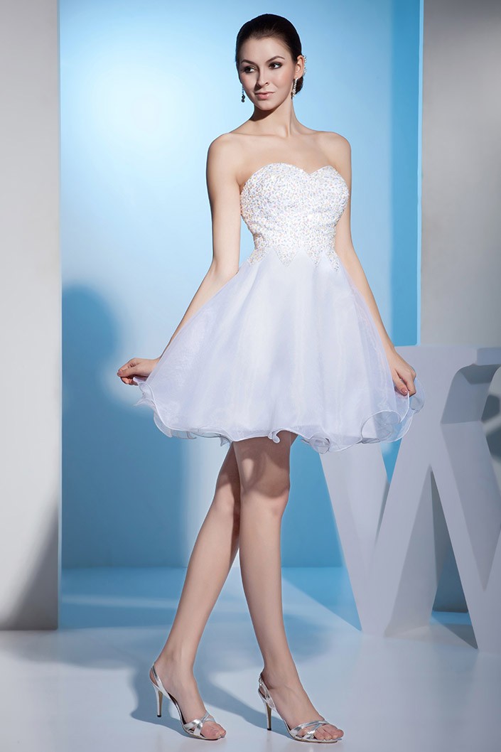 Elegant A line Straps Tulle Short Birthday Outfits Homecoming Dress main image 1