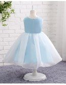 Beaded Pearls Blue And White Organza Wedding Flower Girl Dress
