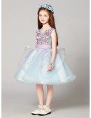 Blue and Purple Sweetheart Short Tulle Flower Girl Dress with Lace Beading