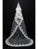 Gorgeous Long Train Tulle Wedding veil with Lace Trim