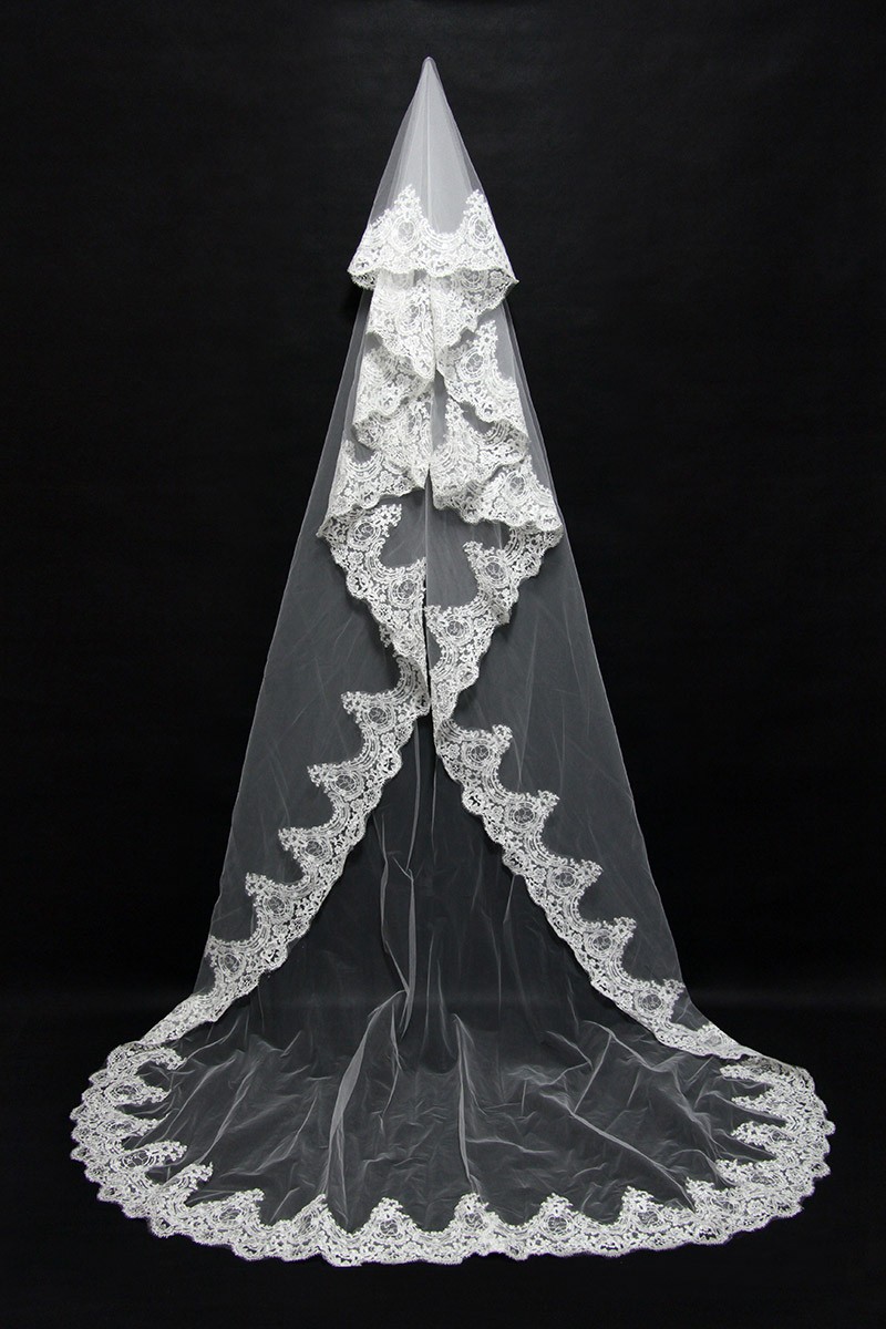 long veil with long train