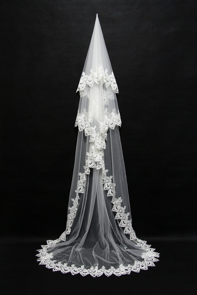 long veil with long train