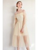 Fairy Short Tulle Champagne Party Dress With Sleeves