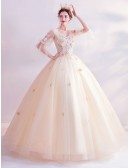 Romantic Light Champagne Ballgown Prom Dress With Tulle Sleeves Petals