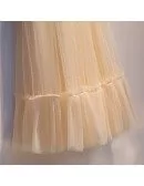 Elegant Champagne Vneck Tulle Long Party Dress With Polka Dots
