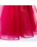 Cute Aline Tulle Tea Length Party Dress Vneck With Petals
