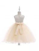 Champagne With Embroidery Wedding Short Party Dress For Girls