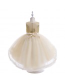 Champagne High Low Tulle Girls Party Dress Sleeveless
