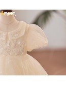 Champagne Tulle Ballgown Toddler Flower Girl Dress with Sequins