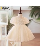 Champagne Tulle Ballgown Toddler Flower Girl Dress with Sequins