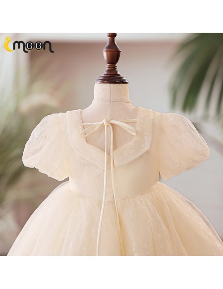 Champagne Tulle Ballgown Toddler Flower Girl Dress with Sequins
