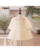 Champagne Sequined Tulle Toddler Flower Girl Dress with Sleeves
