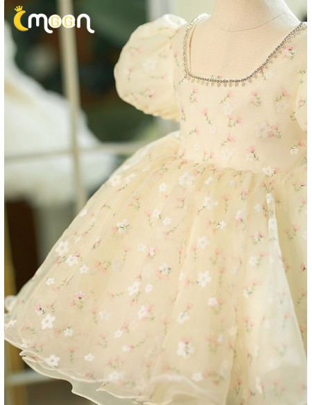 Beautiful Little Flowers Champagne Rustic Flower Girl Dress