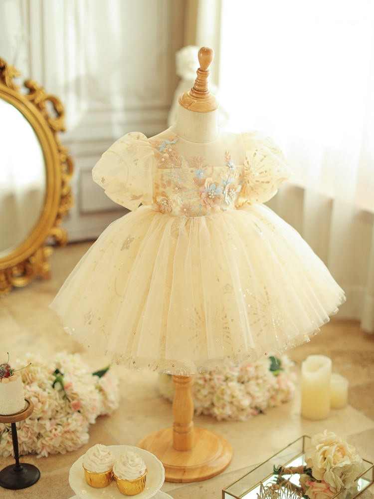 Baby Girls Multi Color Floral Pleated Jacquard Tulle Flower Girl Dress, Sizes 6-24 Months main image 1