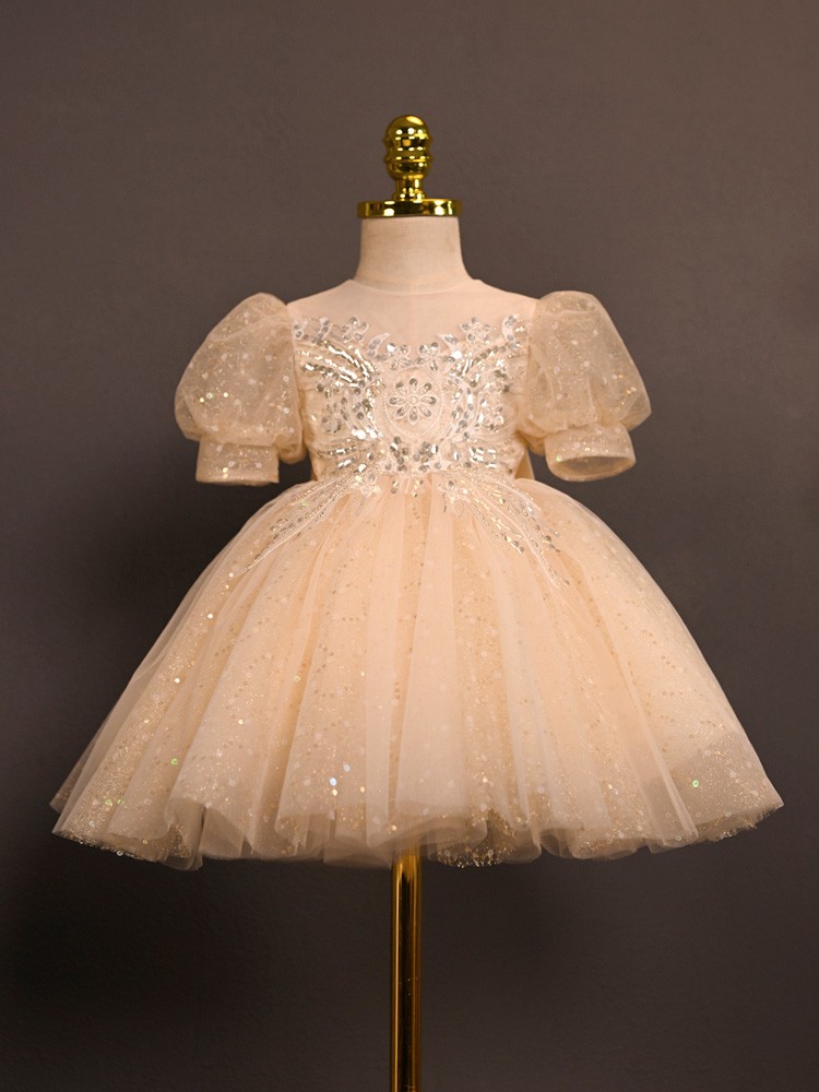 Luxury Flower Girl Dress with Embroidery Sheer Children's Pageant Tulle Gown Cutout Back