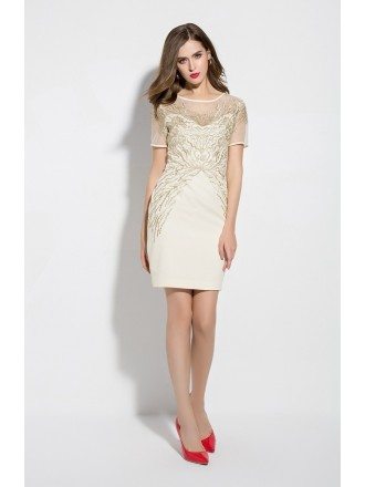 Embroidery Tulle Sleeves Short Dress for Women